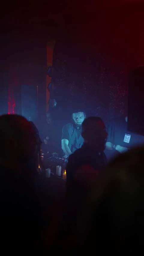Guests dance and sing at the Ferienpark Hotel. Vidéo 331869999