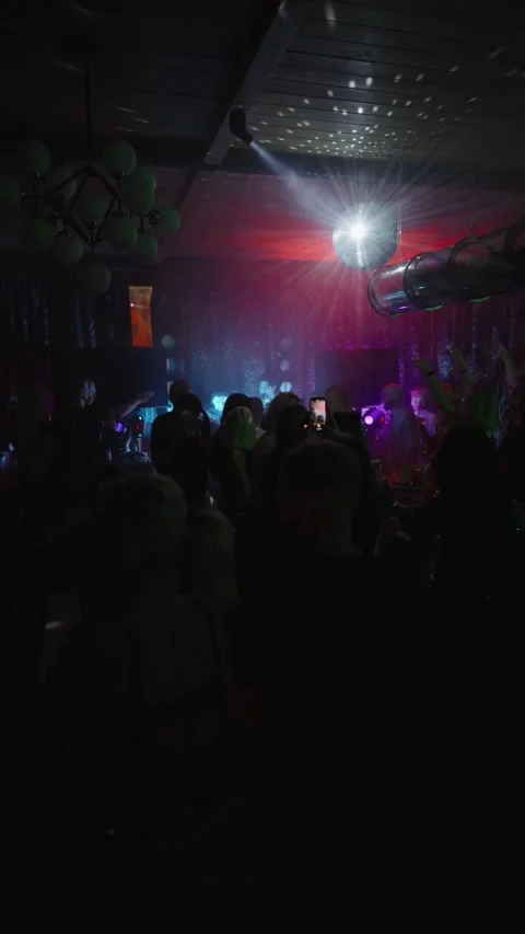 Guests dance and sing at the Ferienpark Hotel. Vidéo 331870051