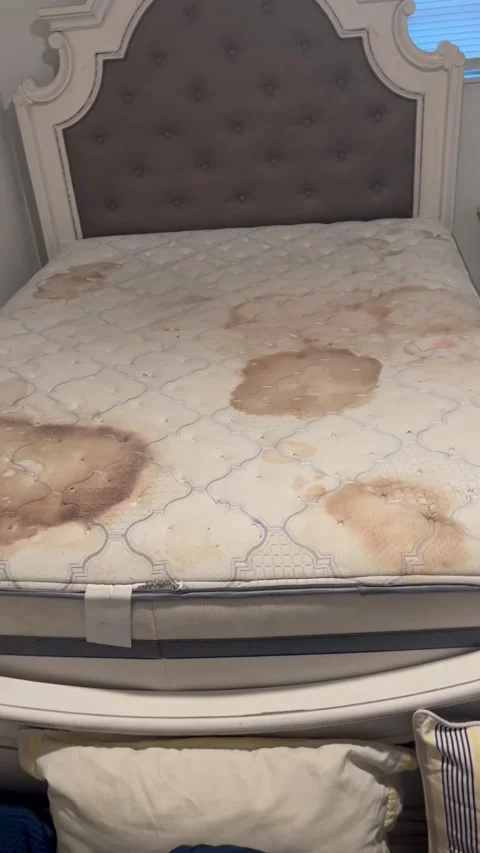 Guests React to Nasty AirBnB Beds, Fort Walton, Florida, USA - 03 Sep 2023 Video stock 249627944