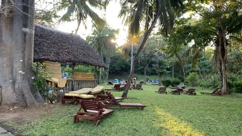 Guests relaxing in resort in Diani Beach, Kenya. African hotel park with Stock Footage 125823398