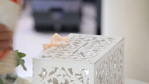 Guests shake hands of bridegrooms during congratulations with marrige. Stock Footage 108560367