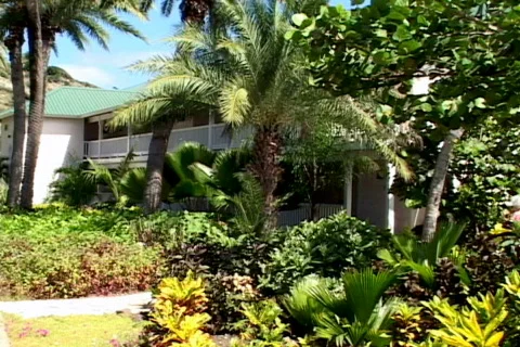 Guests at St-James's-ws Vídeo Stock 817893