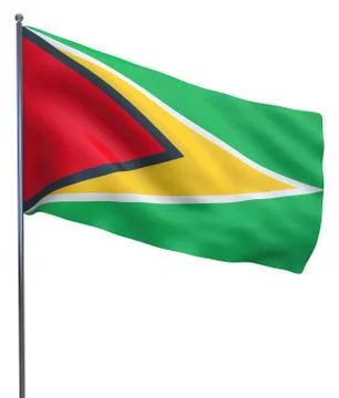 Guiana Flag Image Stock Illustration