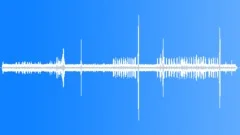 Guianan Cock of TheSound Effect