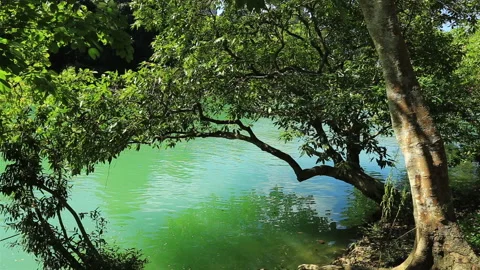 Guichun River Vídeos de archivo 145857063