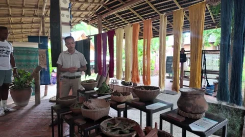 A guide explains the silk thread dyeing process at Ock Pop Tok in Luang Prabang Stock Footage 325365543