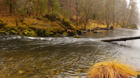Guide fising boat going down a river in the rain.  Stock Footage 99084159