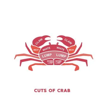 Guide Meat cuts set. crab Butcher Poster diagrams and schematics. Stock Illustration