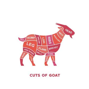 Guide Meat cuts set. goat Butcher Poster diagrams and schematics. Stock Illustration