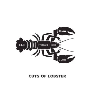 Guide Meat cuts set. lobster Butcher Poster diagrams and schematics. Stock Illustration
