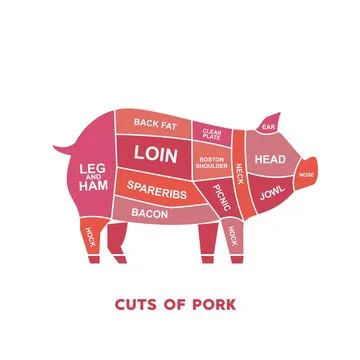 Guide Meat cuts set. pork Butcher Poster diagrams and schematics. Illustrazione stock