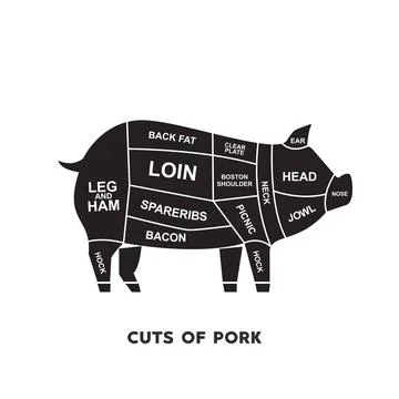 Guide Meat cuts set. pork Butcher Poster diagrams and schematics. Illustrazione stock
