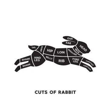 Guide Meat cuts set. rabbit Butcher Poster diagrams and schematics. Stock Illustration