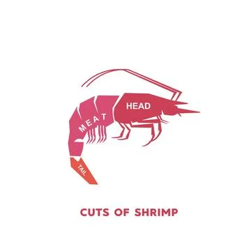 Guide Meat cuts set. shrimp Butcher Poster diagrams Stock-Illustration
