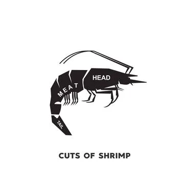 Guide Meat cuts set. shrimp Butcher Poster diagrams and schematics. Stock-Illustration