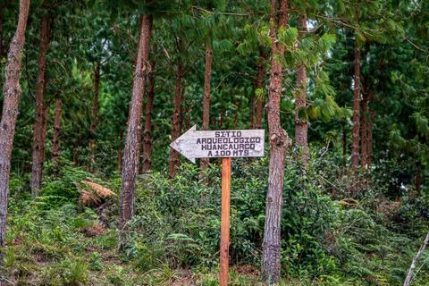 Guide sign Stock Photos