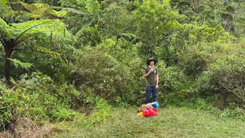 Guide stands on rainforest glade explaining ecosystem facts Stock Footage 346948662