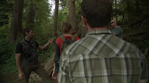 Guide Talks About Tree And A Group Of People Listen And Learn Stock Footage 47965348