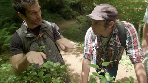 Guide Teaches About Plants In A Forest Of The Pacific Northwest Video stock 47966132