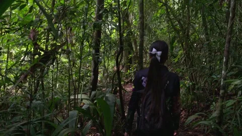 Guide Walking Through Dense Green Jungle Path Video stock 336520641