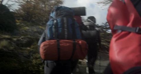 Guided expedition in wilderness Stock Footage 90079711