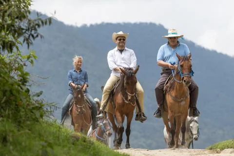 Guided sightseeing tours in the Valle de Cocora, Colombia: Stock Photos
