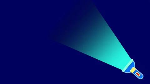 Guiding Flashlight Beam Stock Footage 335672495