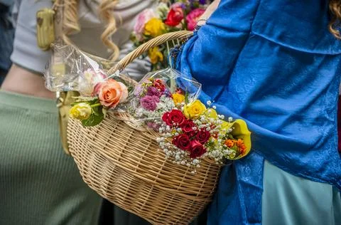 Guild Members and Spectators Exchanging Flowers During Sechseluten Spring P.. Fotos Stock