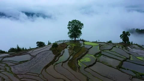 Guilin Scenery Stock Footage 191968792