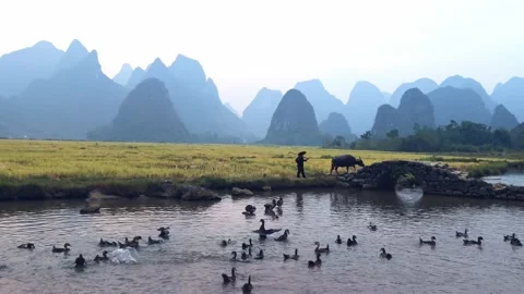 Guilin Scenery Video stock 239539551
