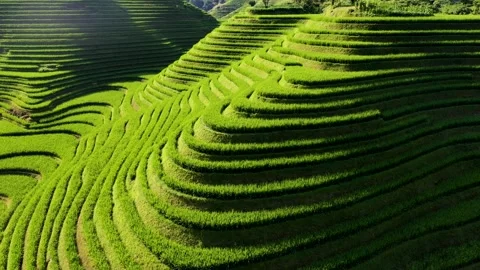 Guilin Terraces Stock Footage 138335855