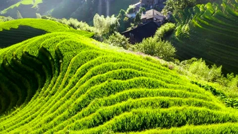 Guilin Terraces Stock Footage 138335932