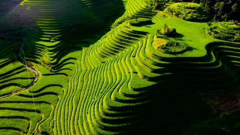 Guilin Terraces Stock Footage 138336226