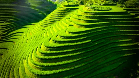 Guilin Terraces Stock Footage 138336335