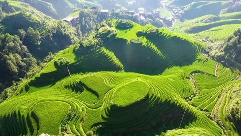 Guilin Terraces Video stock 138336535