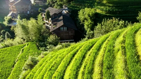 Guilin Terraces Video stock 138336714