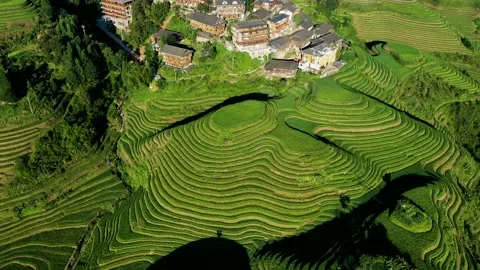 Guilin Terraces Stock Footage 138337757