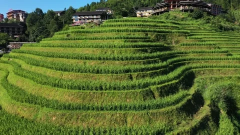 Guilin Terraces Stock Footage 138338237