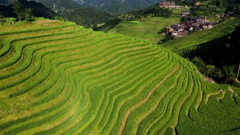 Guilin Terraces Stock Footage 138351506
