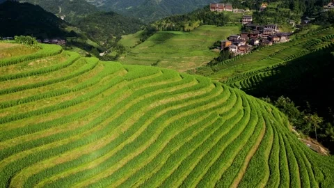 Guilin Terraces Stock Footage 138352484