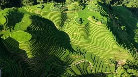 Guilin Terraces Stock Footage 138354190