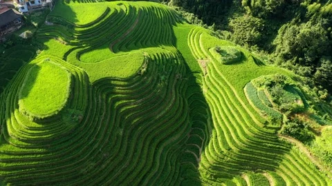 Guilin Terraces Video stock 138355458