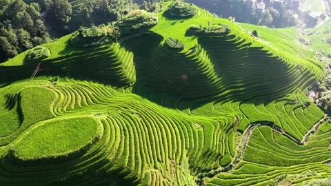 Guilin Terraces Video stock 138356102