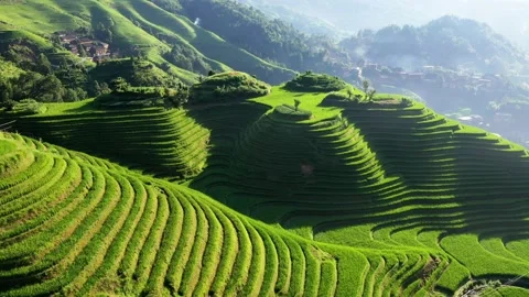 Guilin Terraces Stock Footage 138356609