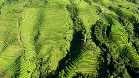 Guilin Terraces Stock Footage 138359121