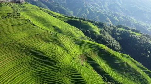 Guilin Terraces Video stock 138360566