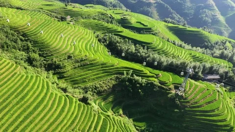Guilin Terraces Stock Footage 138361365