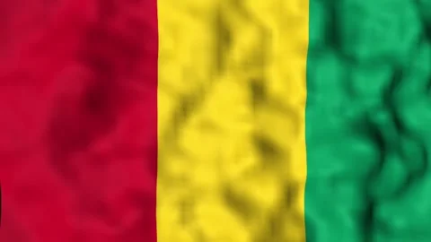 Guinea 3840x2160UHD Video stock 312314395