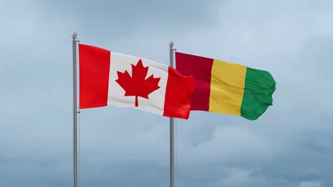 Guinea and Canada flag Stock Footage 252023767
