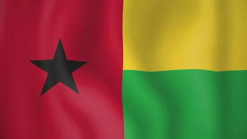 Guinea animated flag. Seamless loop. 4K Video stock 145440863